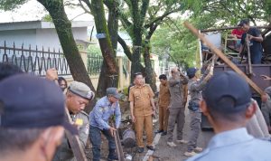 Screenshot_20260114_172439_WhatsApp